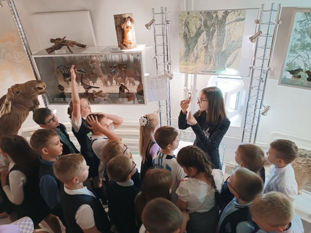Занятие «В мире насекомых» в Природно-экологическом музее.Полоцк,2024
